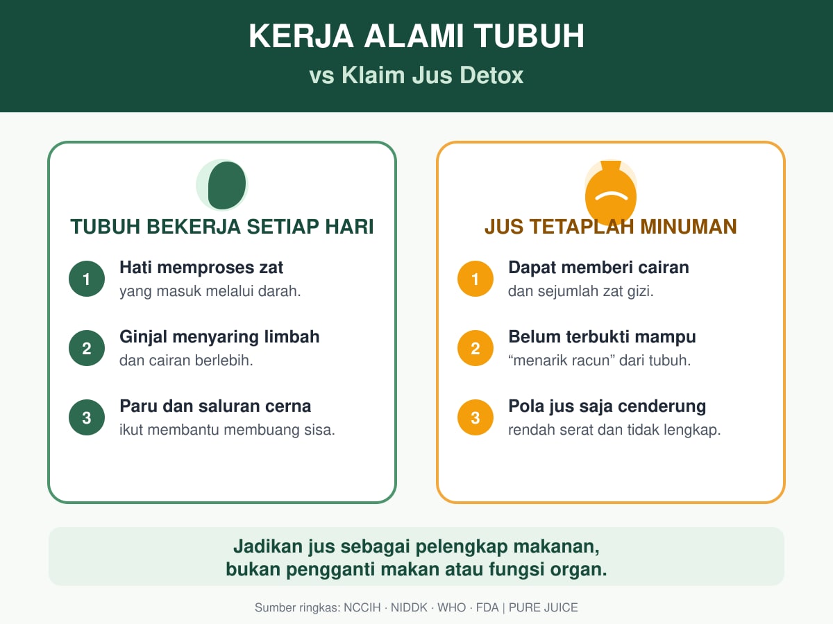 Infografik perbedaan kerja alami tubuh dan klaim jus detox